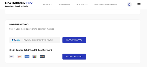 how to publish a project payment page